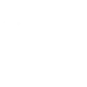 Burger King Blanco 300x300